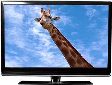 Gịnị bụ ihe dị iche na ikanam TV na LCD TV